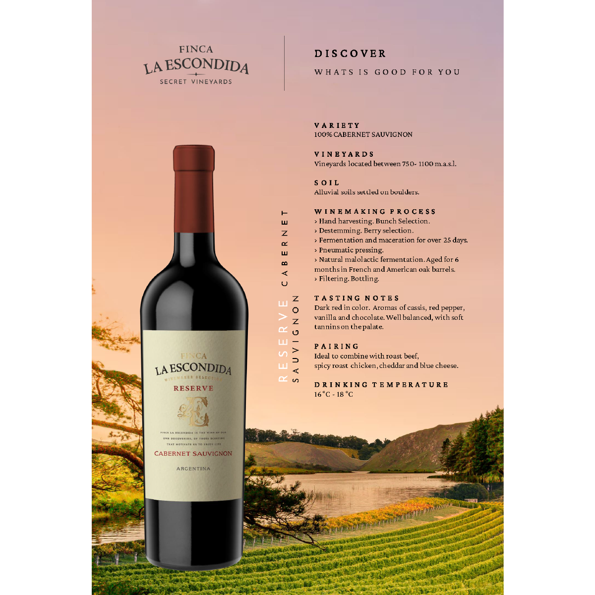 FINCA LA ESCONDIDA RESERVA CABERNET SAUVIGNON 2022, 13.5%