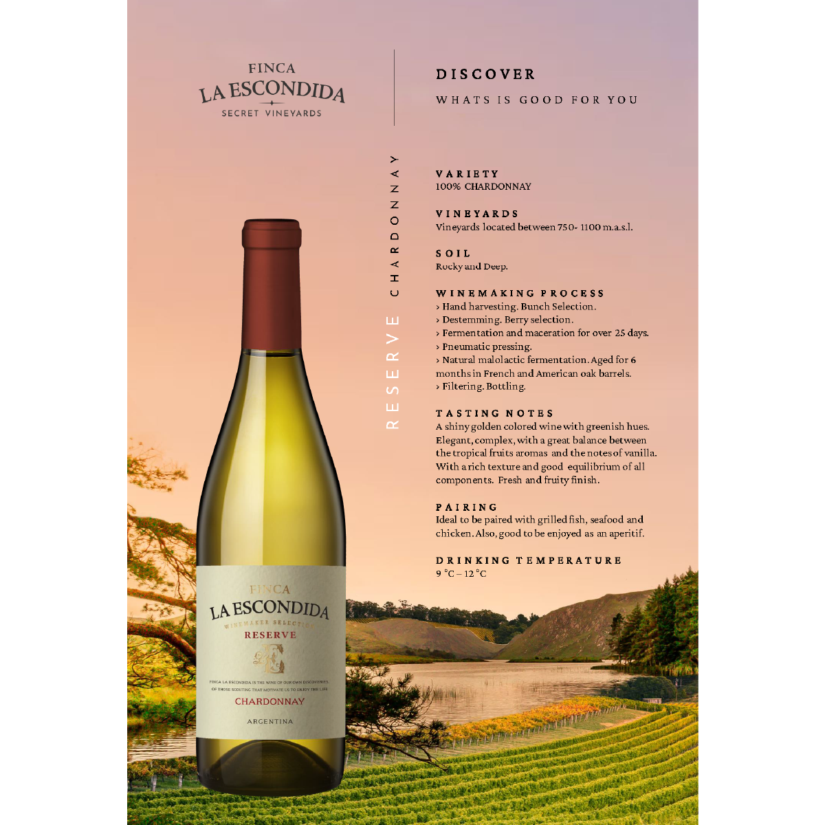 FINCA LA ESCONDIDA RESERVA CHARDONNAY 2023, 13%